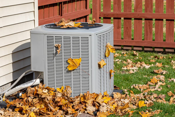Best Local HVAC Companies  in Mason Neck, VA